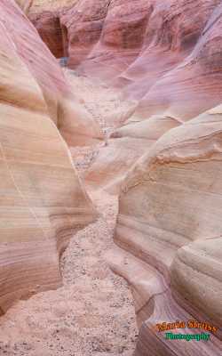 Valley of Fire Pink Canyon 37