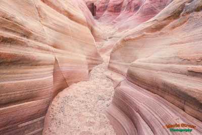 Valley of Fire Pink Canyon  50