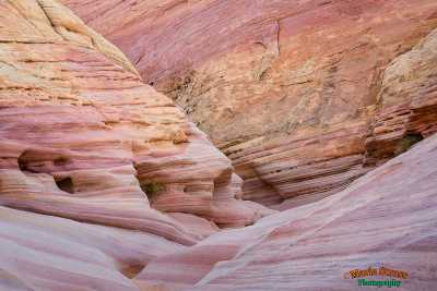 Valley of Fire Pastel Canyon 75