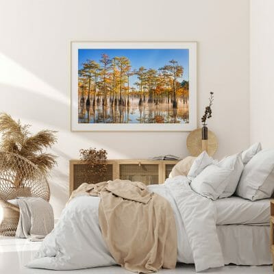 CYPRESS TREES OVER BED