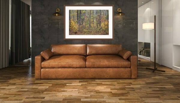 FALL FOLIAGE OVER COUCH