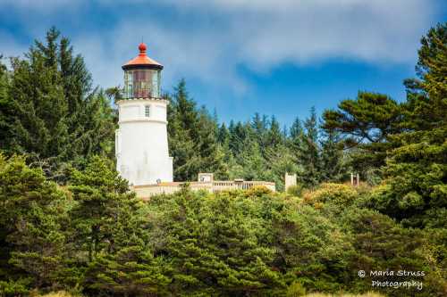 Oregon Umpqua-Lighthouse-8