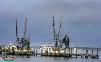 Shrimp Boats at Dock 14