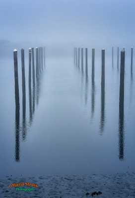 Winchester Bay Pilings 42