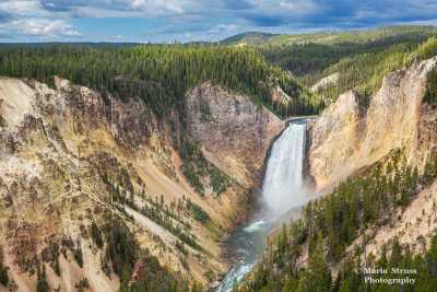 Lower Falls of the Grand Canyon of Yellowstone 83
