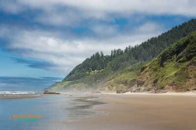 Coastal Oregon 50
