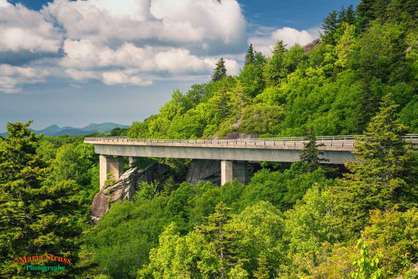 The Linn Cove Viaduct off the Blue Ridge Parkway is known as an engineering feat where it curves around Grandfather Mountain in North Carolina