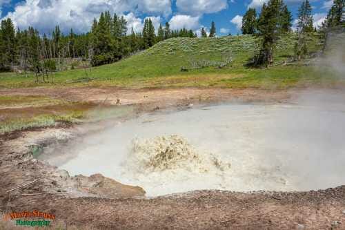 Yellowstone Mud Volcano Churning Cauldron 41