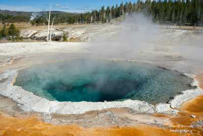 Yellowstone Crested Pool 2
