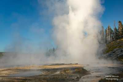 Yellowstone Grand Geyser Eruption 334