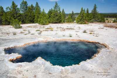 Yellowstone Surprise Pool 12