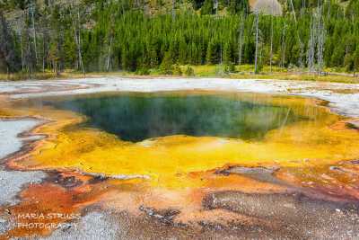 Yellowstone Emerald Pool in Black Sand Basin 3