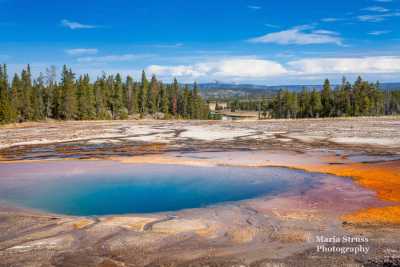 Yellowstone Opal Pool 1788