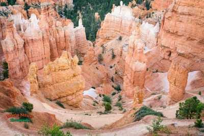 Bryce Canyon Trail View 239
