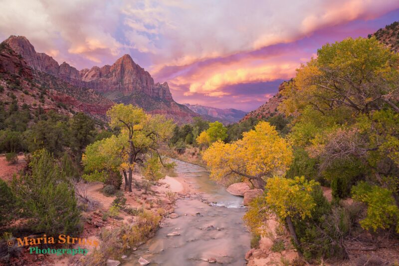 Storm Clouds over the Virgin River in Zion National Park take on an amazing color
