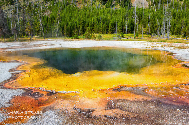 A photo of Emerald Pool in the Black Sands Basin of Yellowstone National Park