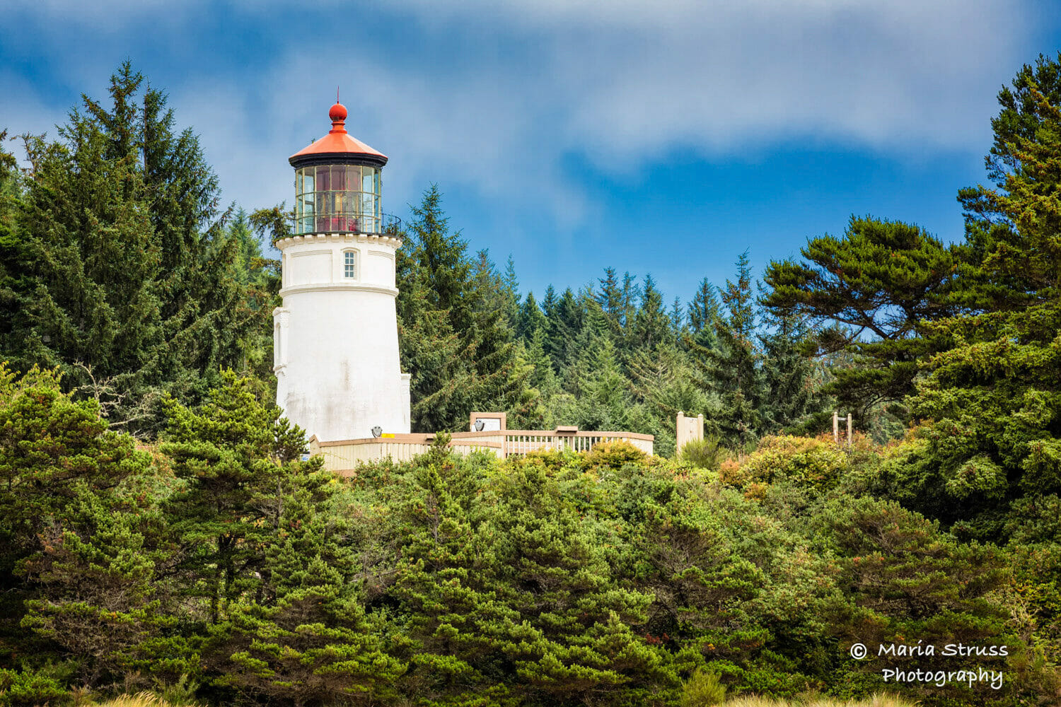 A photo of the Umpqua Lighthouse in Oregon