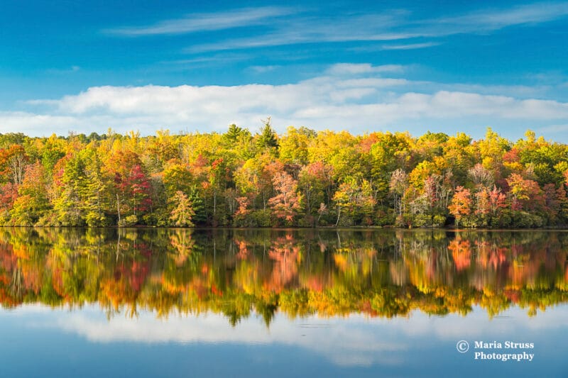 Photograph of Julian Price Lake with tree reflection in fall off the Blue Ridge Parkway by Boone.