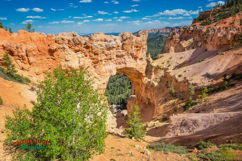 a photo of natural bridge in Bryce Canyon