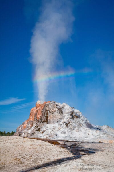 A photo of White Dome Geyser erupting in the Firehole Drive area of Yellowstone National Park